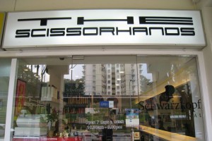 the_scissorhands_salon